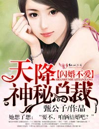 闪婚不爱,天降神秘总裁