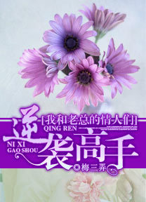 办公室角逐游戏：逆袭女总监