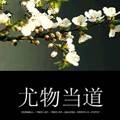 尤物当道