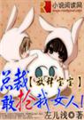 放肆宝宝总裁敢抢我女人