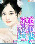 邪魅总裁乖乖妻