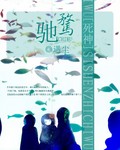 死神之驰骛