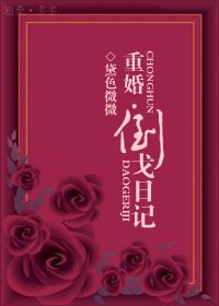 重婚之倒戈日记