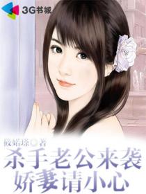 杀手老公来袭娇妻请小心