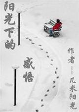 阳光下的感悟