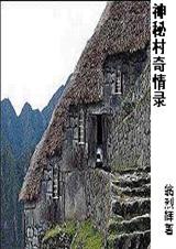神秘村奇情录