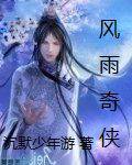 风雨奇侠
