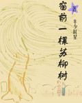 窗前一棵苏柳树