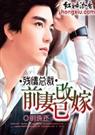 明珠还-亿万总裁追回前妻生宝宝