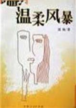 温柔风暴