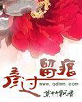 彦过留痕