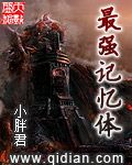 乱世情侠录