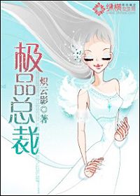 极品总裁