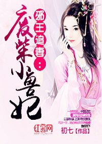 邪王追妻：废柴小兽妃
