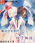 魔法少女奈叶之双子物语