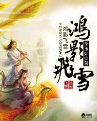 鸿影飞雪