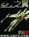 星空之翼