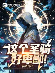 这个圣骑,好卑鄙！