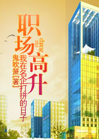 职场高升：我在名企打拼的日子