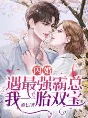 闪婚：遇最强霸总,我一胎双宝
