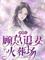 离婚后,顾总追妻火葬场
