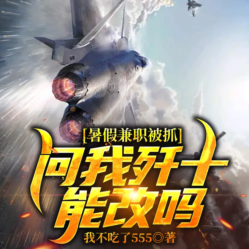 国家请我改战机,两亿我挣一亿七