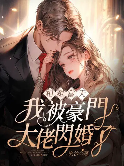 相亲当天,我被豪门大佬闪婚了