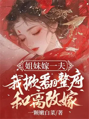 姐妹嫁一夫,我掀翻整府和离改嫁