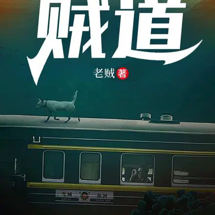 千面贼王