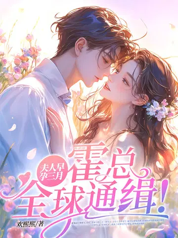 夫人早孕三月,霍总全球通缉！