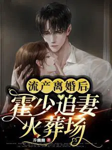 流产离婚后,霍少追妻火葬场