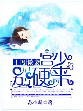 1号傲妻：宫少,别硬来