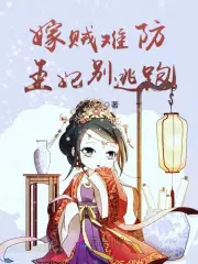 嫁贼难防,王妃别逃跑