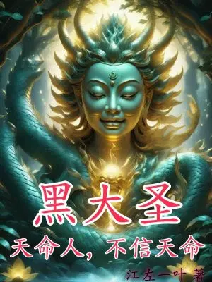 黑大圣：天命人,不信天命