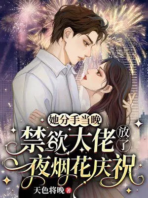 她分手当晚,禁欲大佬放了一夜烟花庆祝
