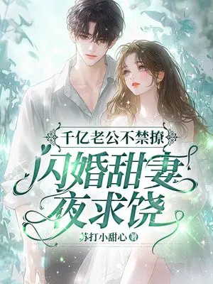 千亿老公不禁撩,闪婚甜妻夜求饶
