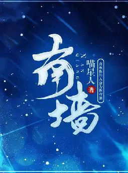 南墙