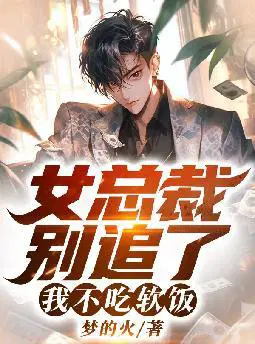 女总裁别追了,我不吃软饭