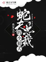 系统助我上巅峰