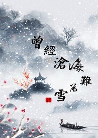 曾经沧海难为雪_曾经沧海难为雪作者:蝶舞花香