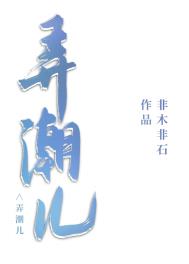 弄潮儿_弄潮儿作者:非木非石