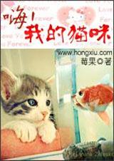 嗨,我的猫咪