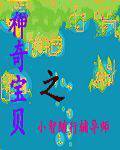 神奇宝贝之小智随行辅导师