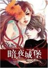 暗夜城堡