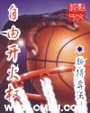 职业篮球风云---自由开火权