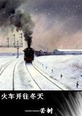 火车开往冬天