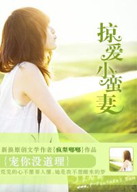 宠你没道理：掠爱小蛮妻