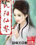 纯阳仙鉴