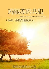（p&p）玛丽苏的共犯—傲慢与偏见同人