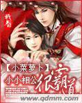 小小相公很霸道